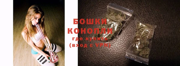 PSILOCYBIN Алзамай