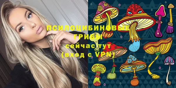 spice Алексин