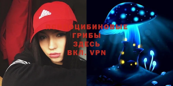 кокс Алексеевка