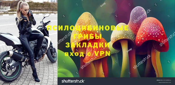 spice Алексин