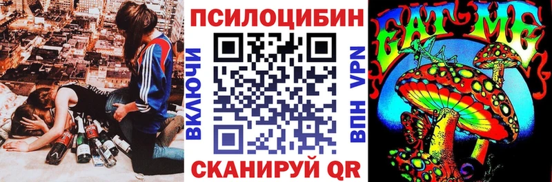 Псилоцибиновые грибы Cubensis blacksprut Болхов