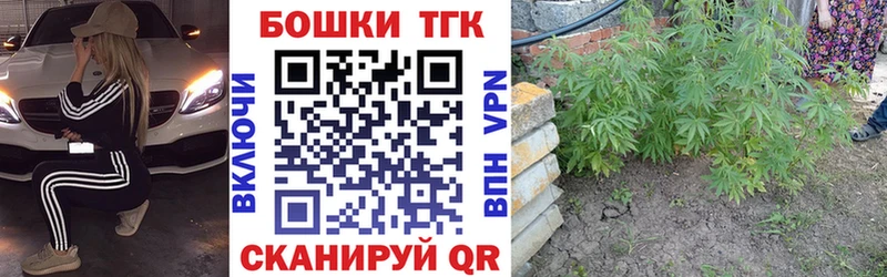 Конопля OG Kush  Болхов 